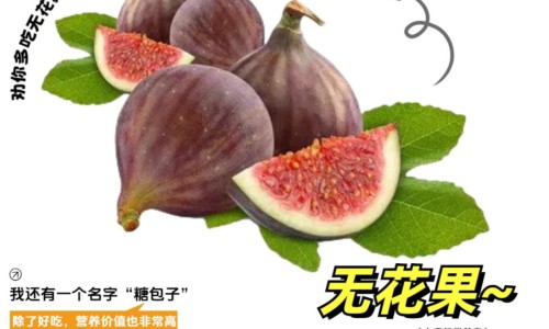 百果树叶子的功效-百果叶有什么药用价值网 :分享百叶果图片搜索-百果叶有什么药用价值呢知识